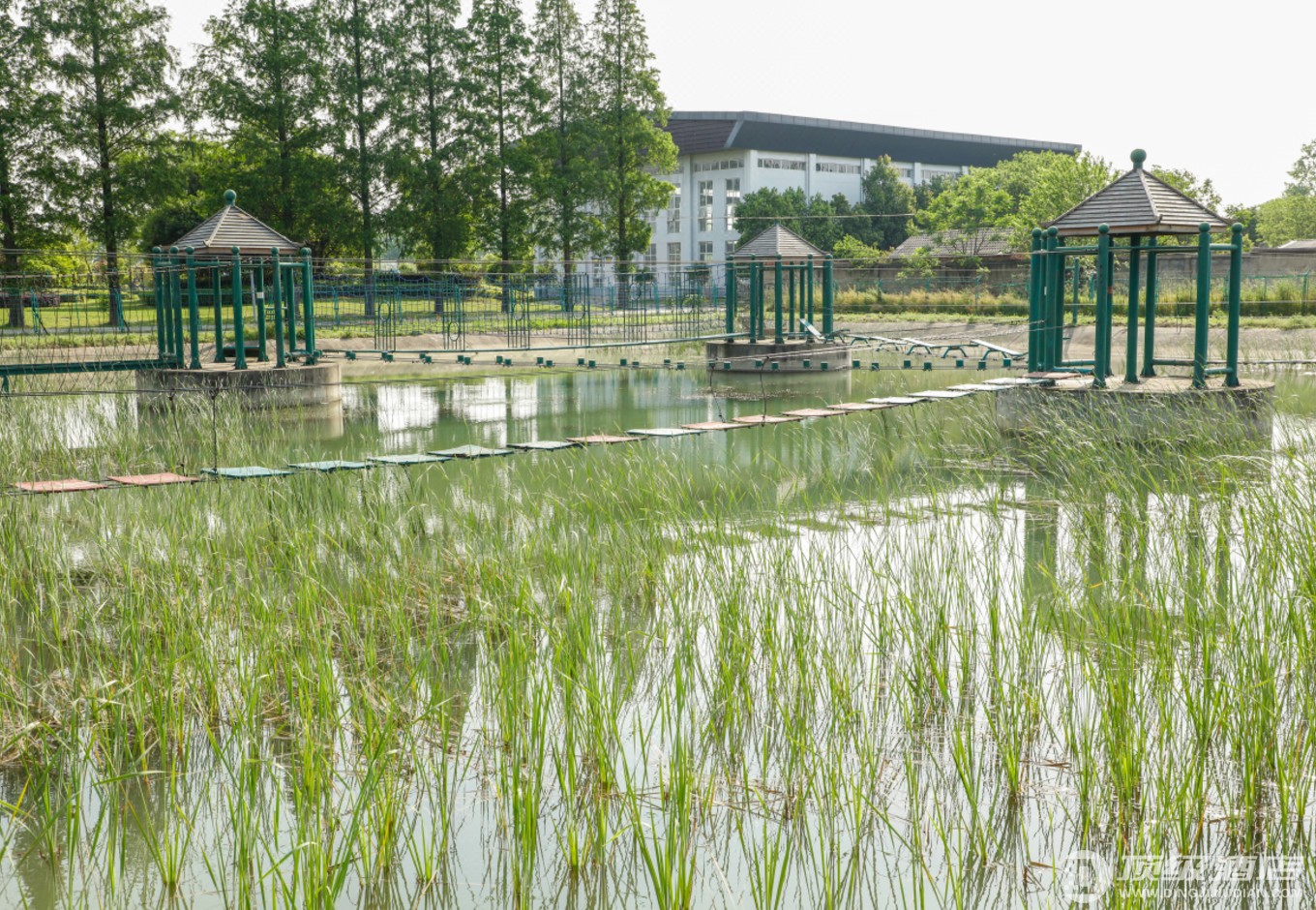 应城汤池温泉度假村实拍图