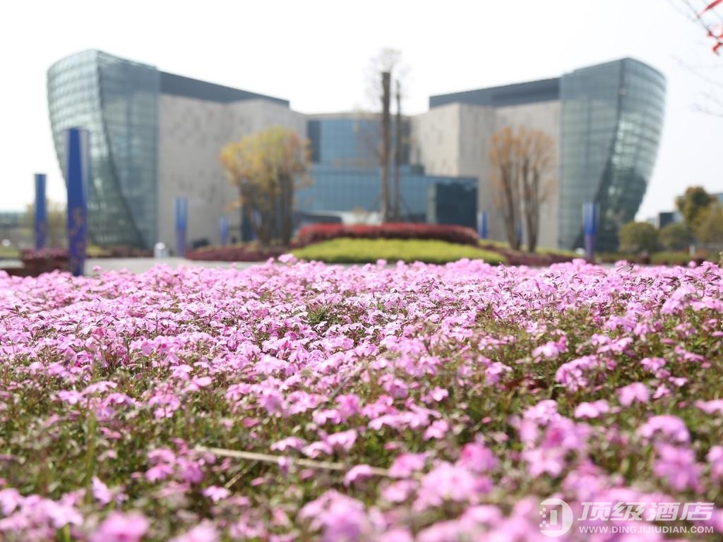 常州明都紫薇花园酒店实拍图