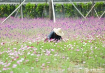 宁波富邦荪湖山庄实拍图