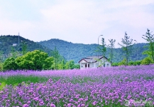 宁波富邦荪湖山庄