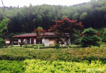 宁波南苑花博园度假酒店