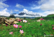 丽江千里走单骑.雪山庄园实拍图