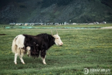 香格里拉萨洛颐度假村