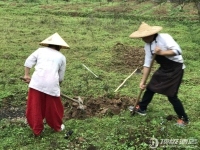 阳朔喜岳·云庐酒店实拍图