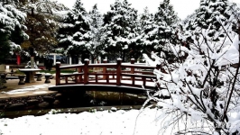 延安万花山宾馆（延安干部培训学院）