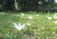 上海衡山北郊宾馆